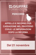 Appello e ricorso per cassazione nel processo civile: Le impugnazioni dopo la riforma