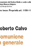 COMUNIONE IN GENERALE ART. 1100-1116 LIBRO TERZO: PROPRIETA'